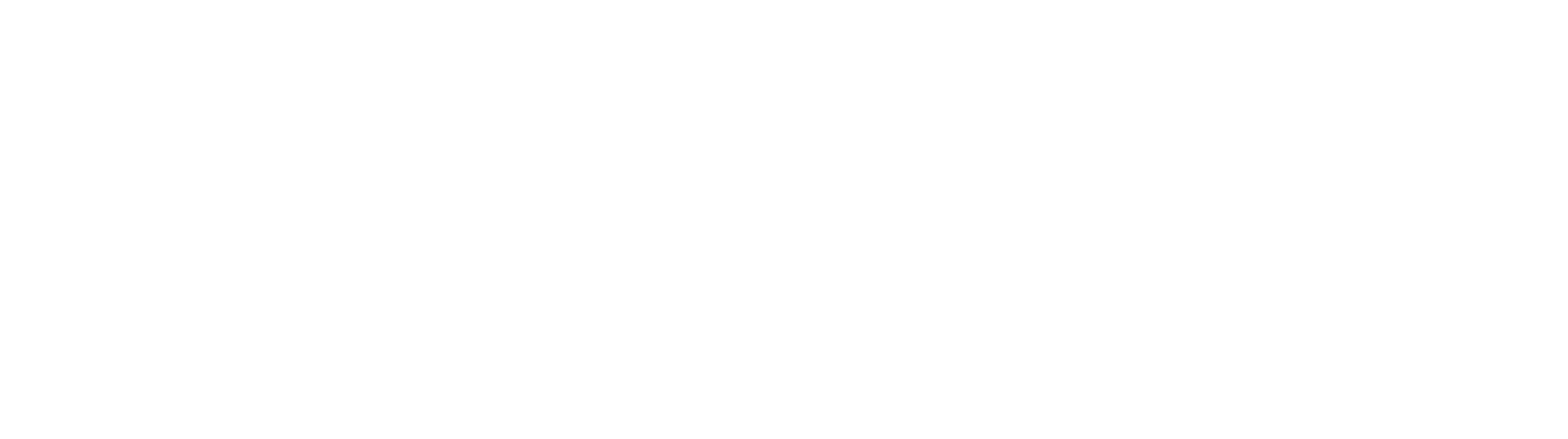 nursebuddy white logo