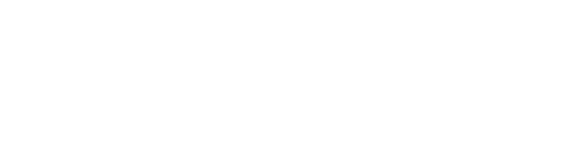 Nursebuddy white logo
